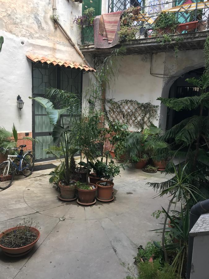 Sunflower Garden Palermo Exteriör bild