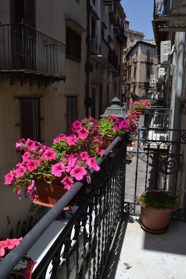 Sunflower Garden Palermo Exteriör bild